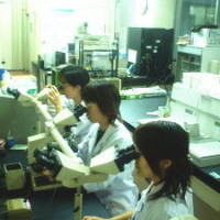 laboratory2